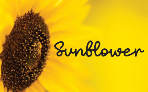Buttermilk Font - Preview 3