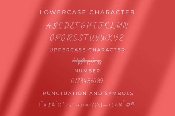 Castila Signature Font - Preview 3