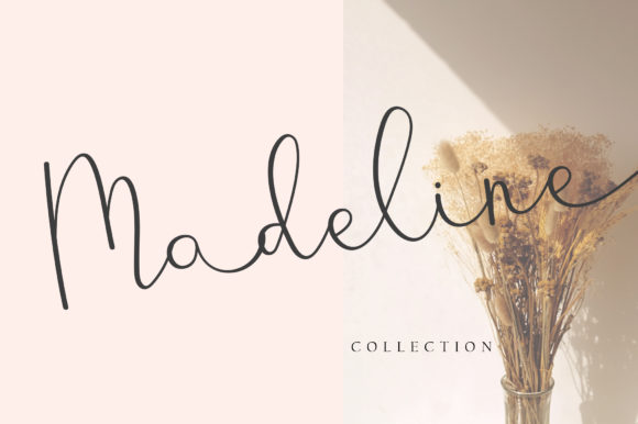 Catterine Font - Preview 1