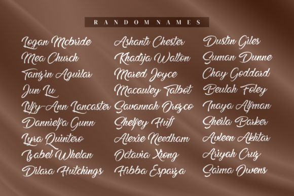 Dannieffa Stefania Font - Preview 3