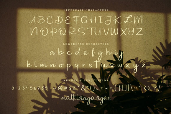 Dragonaly Font - Preview 1