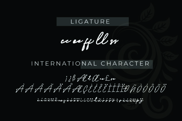 Fantasia Font - Preview 4