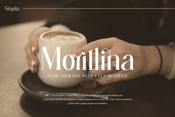Gingko Font - Preview 2