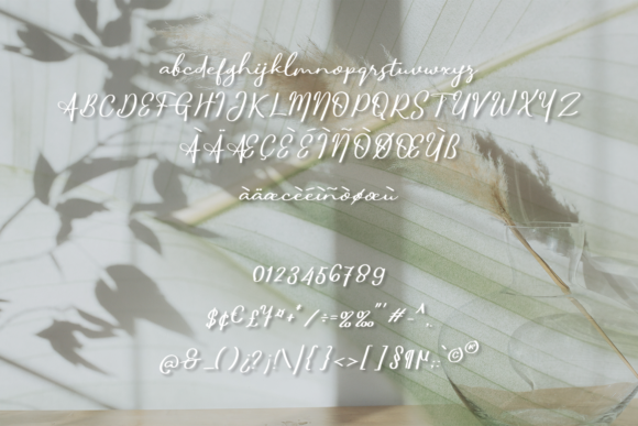 Giovani Font - Preview 4