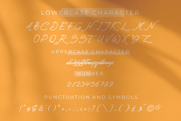 Herind Arabic Font PNG with transparent background - Preview 4