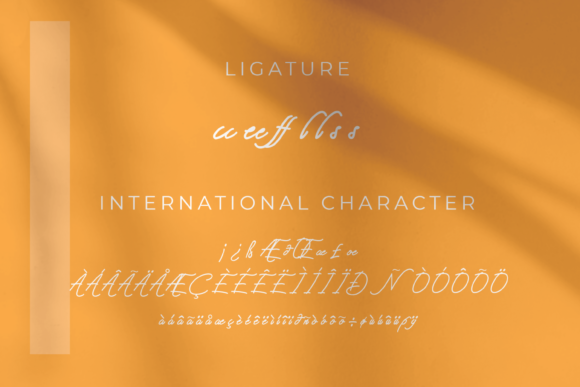 Herind Arabic Font PNG with transparent background - Preview 5