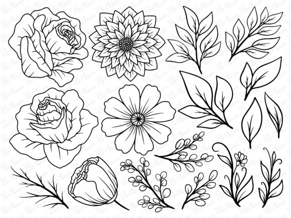 Flowers Line Art Graphic Illustrations By PurMoon