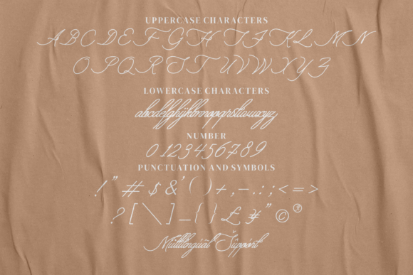 Aliantyara Signature Font - Preview 5