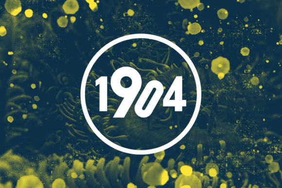 Anemonas Font - Preview 5