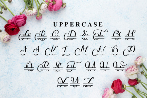 Bianca Monogram Font - Preview 4