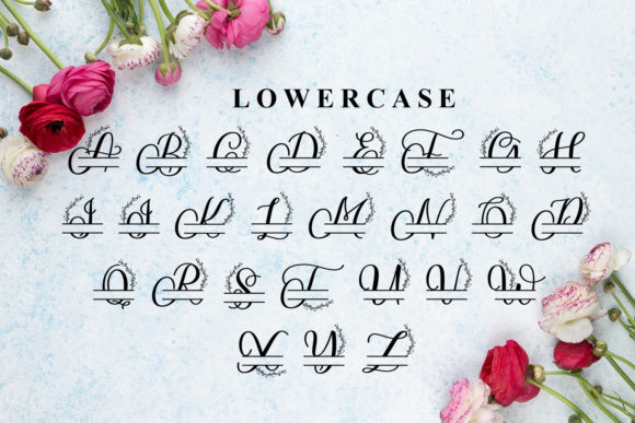 Bianca Monogram Font - Preview 5