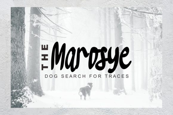 Evinsone Font - Preview 2