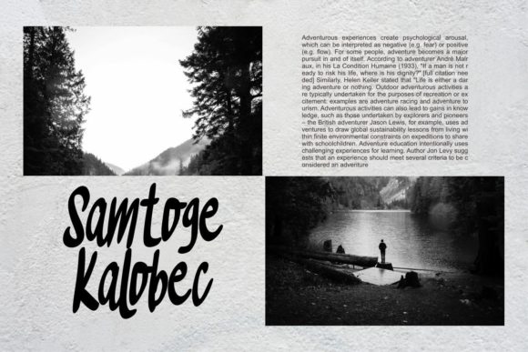 Evinsone Font - Preview 4