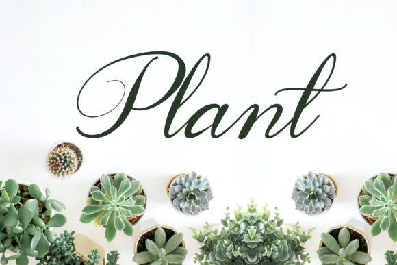 Fast Coffee Font - Preview 2