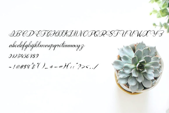Fast Coffee Font - Preview 3