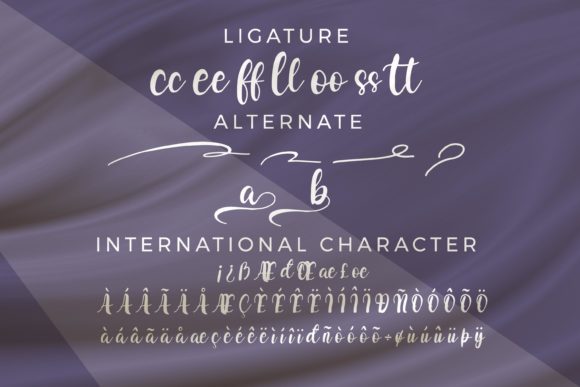 Gaseda Font - Preview 5