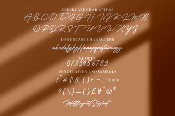Gilberto Font - Preview 5