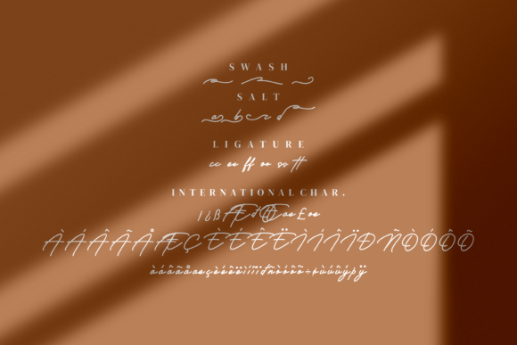 Gilberto Font - Preview 6