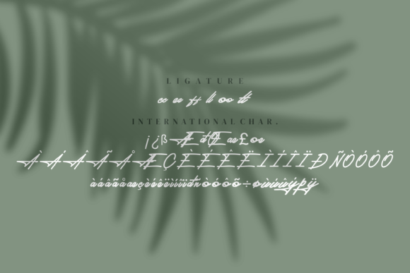 Jhackyson Signature Font PNG with transparent background - Preview 6