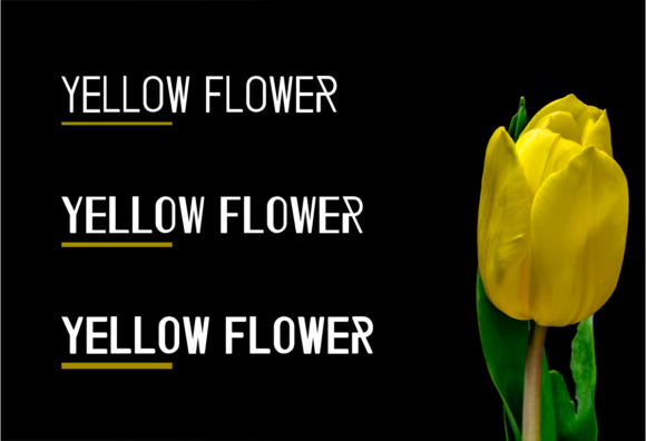 Modelont Font PNG with transparent background - Preview 2