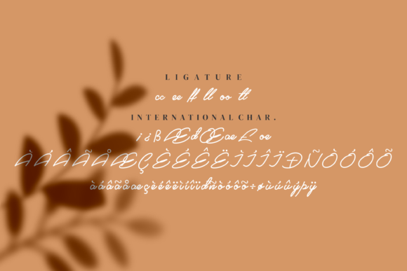 Sahida Font font preview - 6