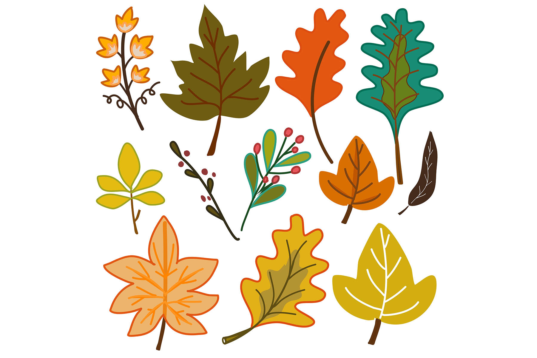 Set of Autumn Leaves Hand Drawn Vector Graphic by Ahappycraft ...
