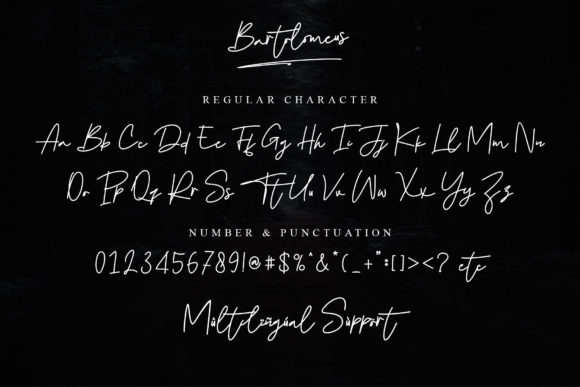 Bartolomeus Font - Preview 6