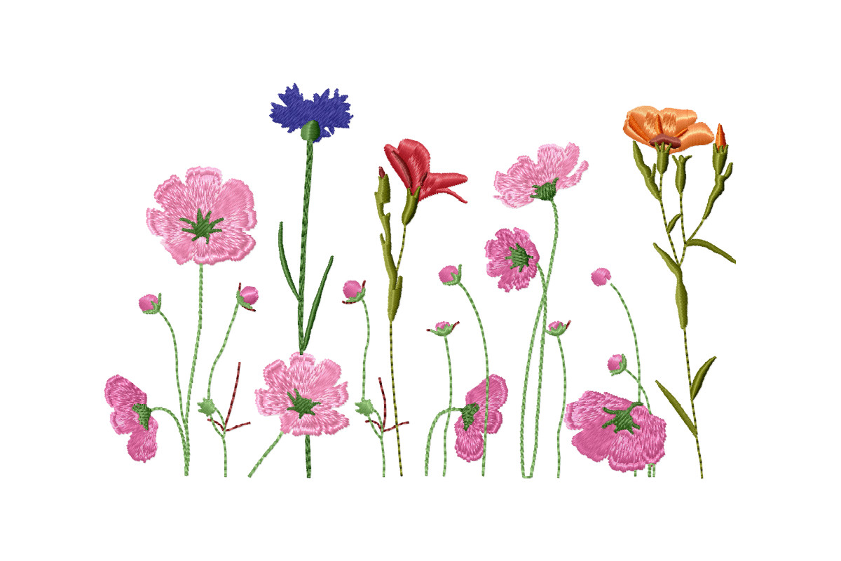 Beautiful Wildflowers Border