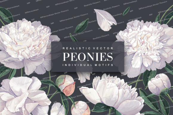 White Realistic Peonies Set