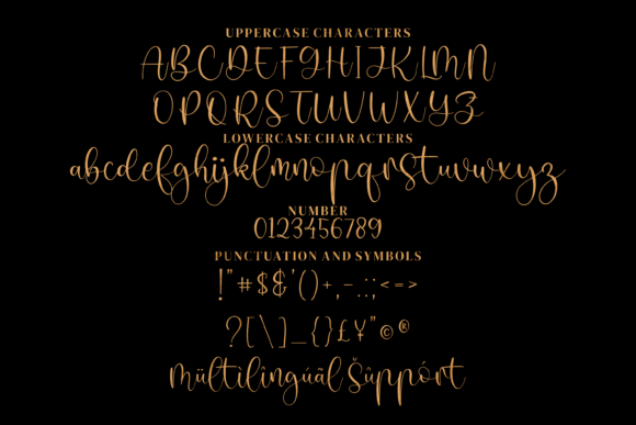 Devin Font - Preview 5
