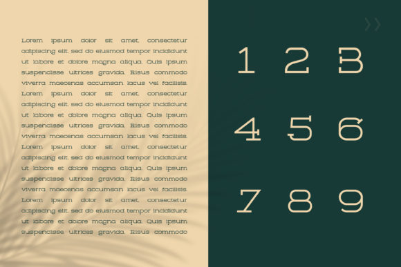 Gorila Font - Preview 2