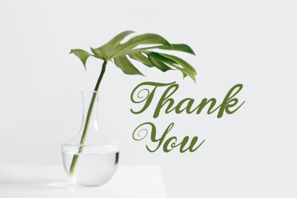 Latte Font PNG with transparent background - Preview 4