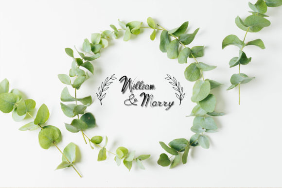 Halucina Font PNG with transparent background - Preview 2