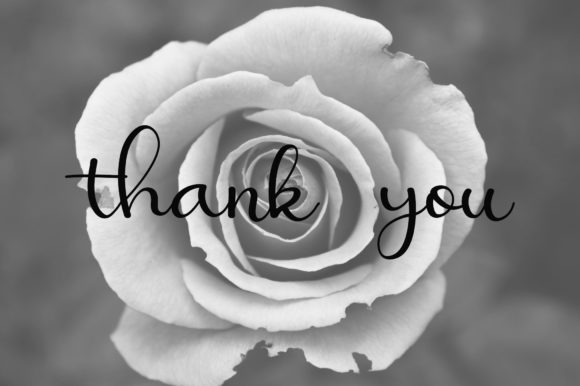 Lynelle Font PNG with transparent background - Preview 6
