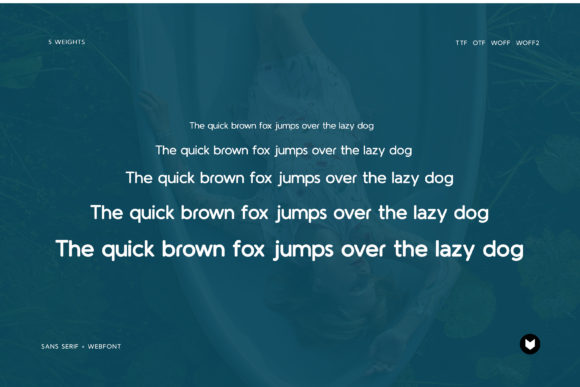 Origo Pro Font PNG with transparent background - Preview 5
