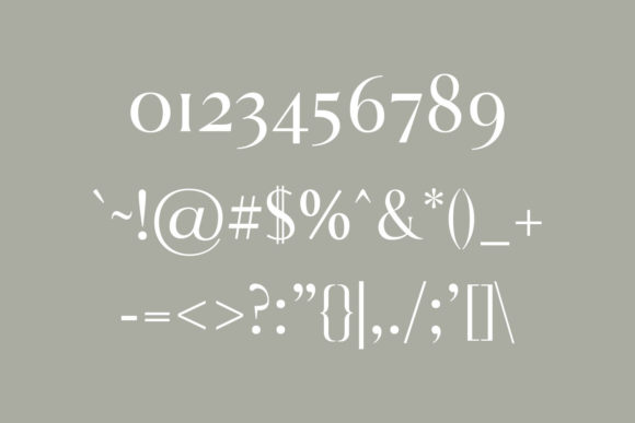 Aadam Family Font - Preview 2
