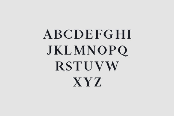 Aara Family Font - Preview 1