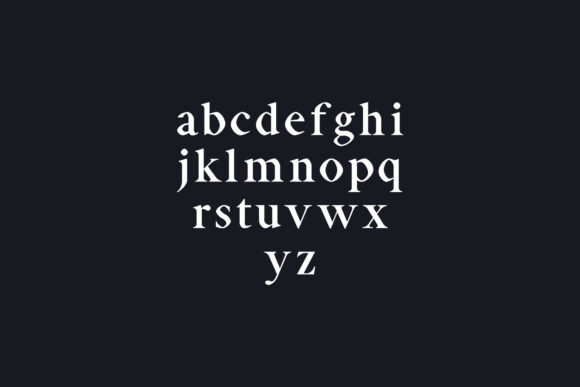 Aara Family Font - Preview 2