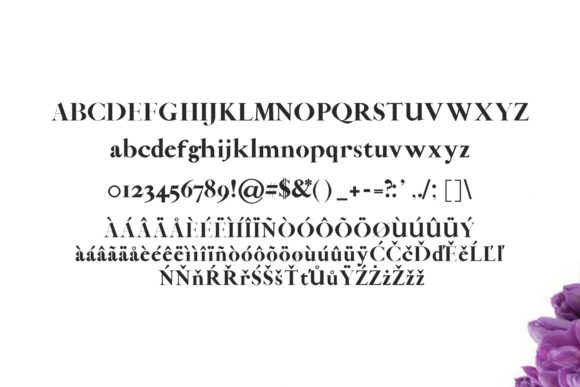 Abed Font - Preview 1