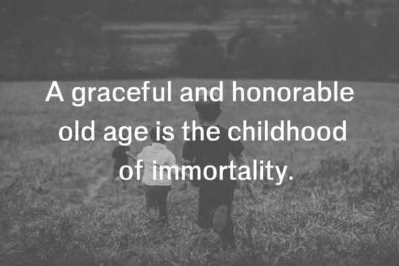 Adley Family Font - Preview 3