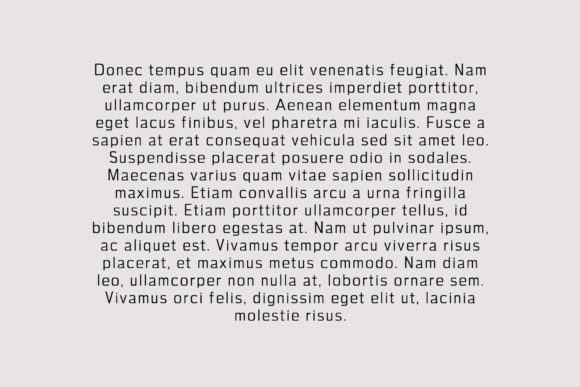 Adon Font - Preview 3