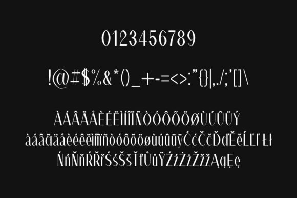 Alex Family Font - Preview 3