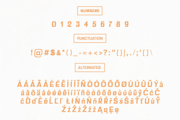 Anzil Family Font - Preview 2