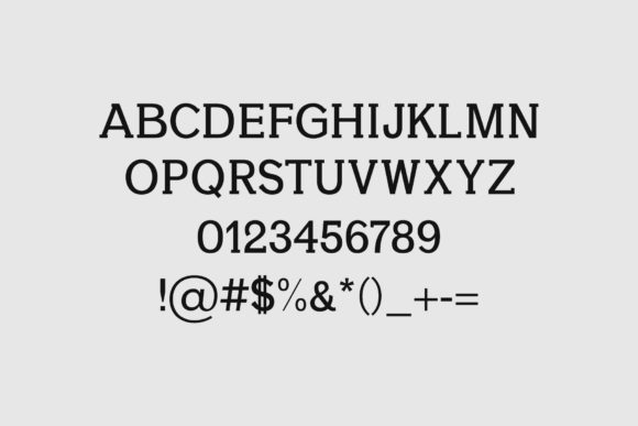 Aster Family Font - Preview 1