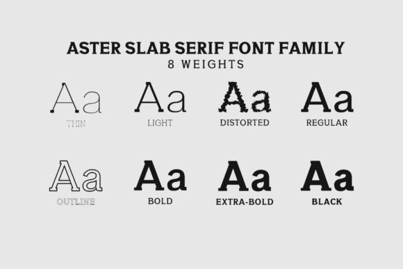 Aster Family Font - Preview 5