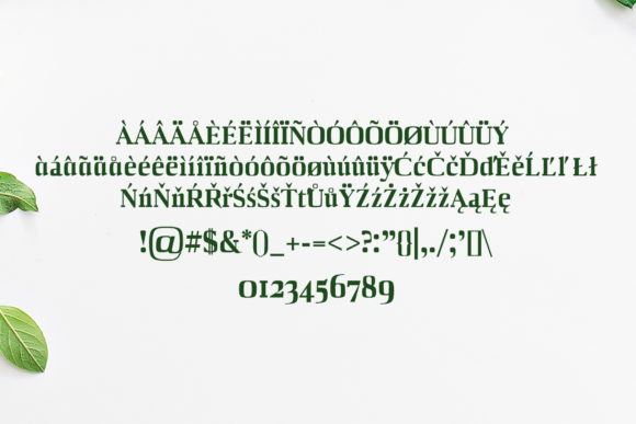 Barnes Font - Preview 2