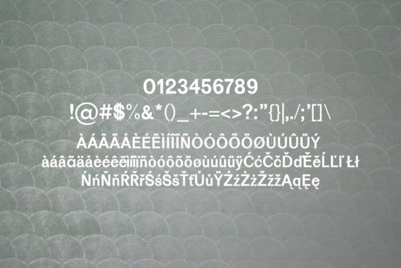 Beacher Family Font - Preview 3
