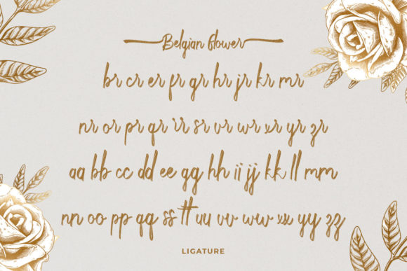 Belgian Flower Font - Preview 4
