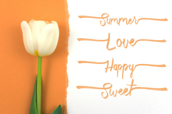 Belgian Flower Font - Preview 5