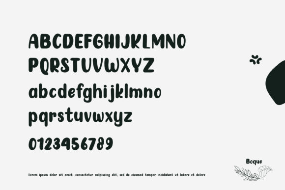Boque Font - Preview 3